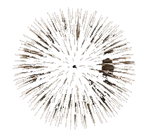 fireworks STICKER