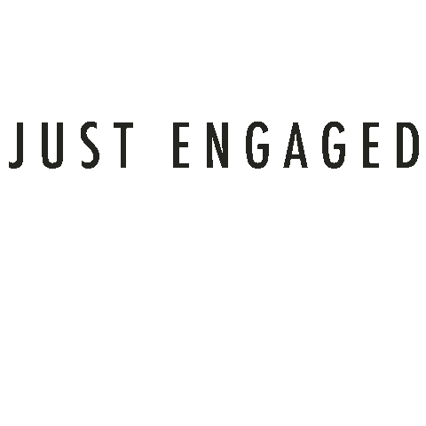 The Lang Co. Sticker