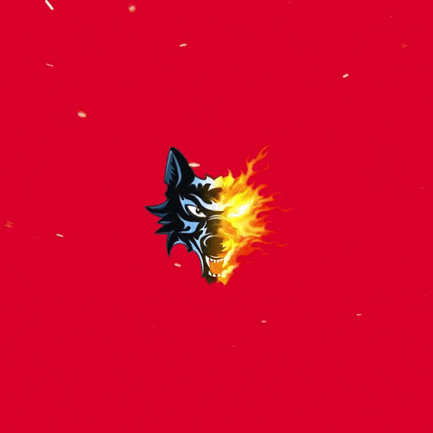 BruleursDeLoups GIF