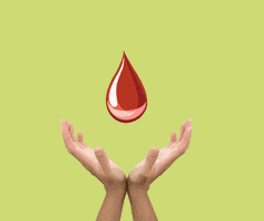 Zdraviv5krocich.cz GIF