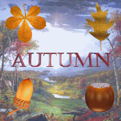 Fall Season GIF