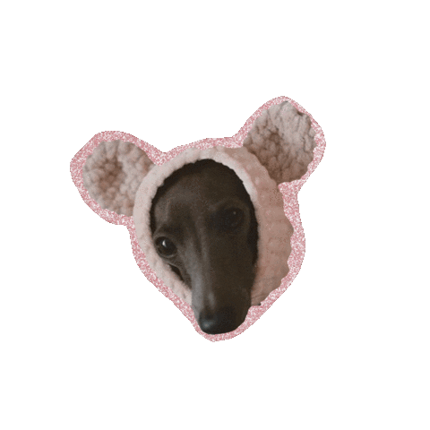 Italian Greyhound Dog Sticker