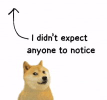 I Did Not Expect Anyone To Notice GIF