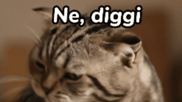 Nein GIF