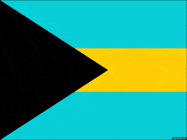 honduras jamaica GIF