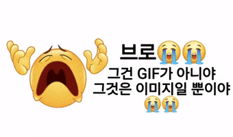 밈 GIF