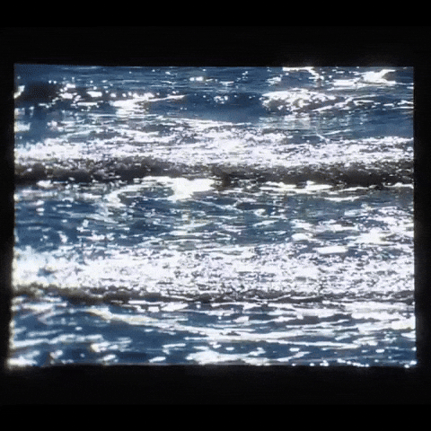 Vintage Beach GIF