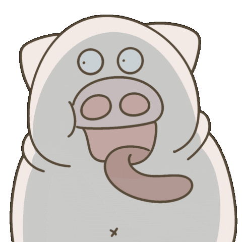 Laugh Pig Sticker