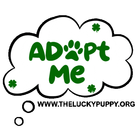 Dog Adopt Sticker by Morgan