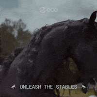 To The Moon Crypto GIF by Eco