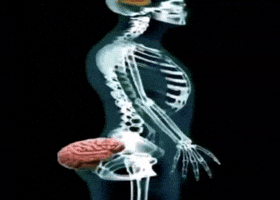 Sameeroverheaven GIF