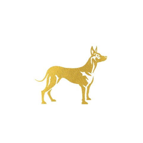 XOLO Real Estate Sticker