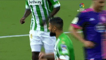 Real Betis Joaquin GIF by Real Betis Balompié