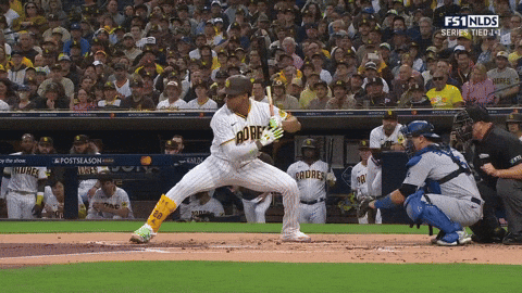 Juan Soto Sport GIF by MLB - Find & Share on GIPHY