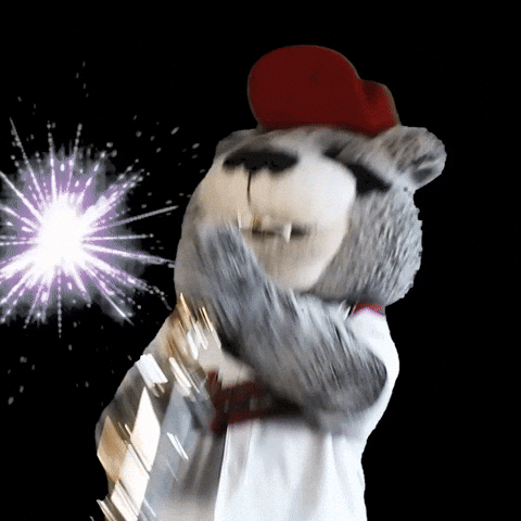 Celebration Baseball GIF by Sacramento River Cats