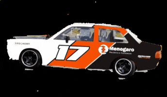 Menegaroracing GIF