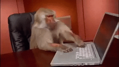 Wifi Office Monkey GIF