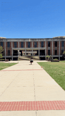 GIF by Cal State East Bay