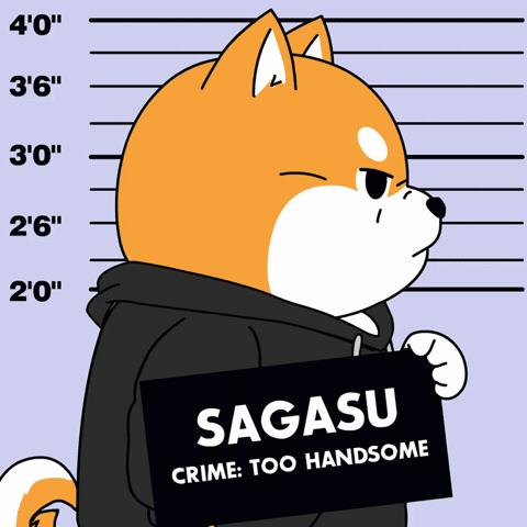 sagasu 探す GIF