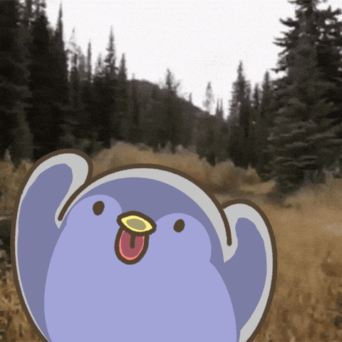 Penguin B GIF