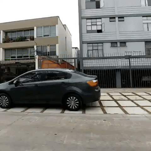 brunoortizbisso videolgg5 GIF