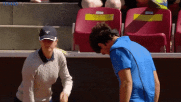 bolamarela  GIF