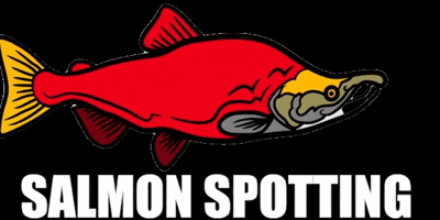 Fishing Psf GIF by Pacific Salmon Foundation
