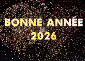 French Bonne Annee GIF