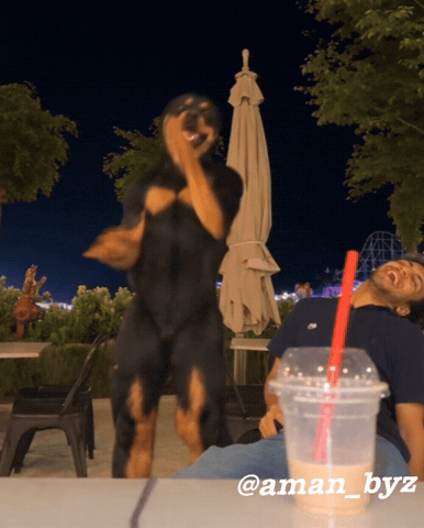 Amanbyz GIF