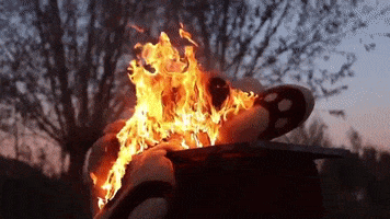 200.gif?cid=fc005b08aaa056ddef1c6ff2d5c3453214304e73d47c89e0&rid=200.gif&ct=g