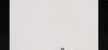 Kickflip Donghwa GIF