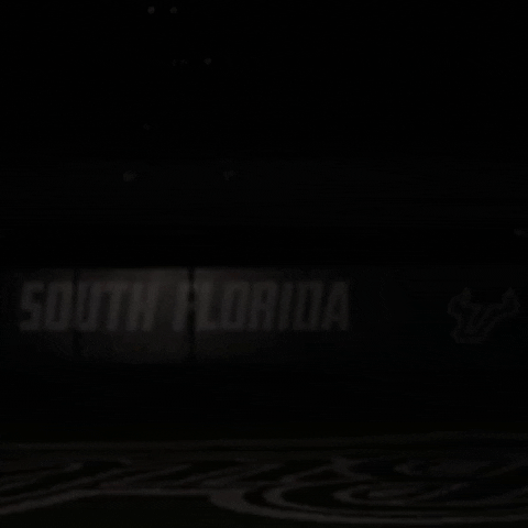 South Florida Baseball GIF by USF Athletics