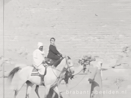 Egypt Eindhoven GIF by BrabantinBeelden