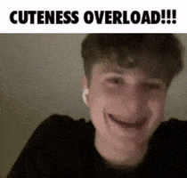 Cuteness Toby GIF