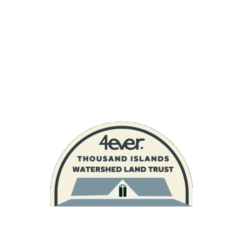 TIWLT Sticker