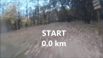 mikloscsallo  GIF
