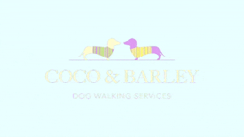 Coco & Barley GIF