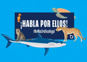 Oceana Perú GIF