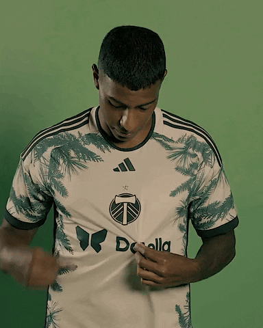 Sport Soccer GIF by Timbers