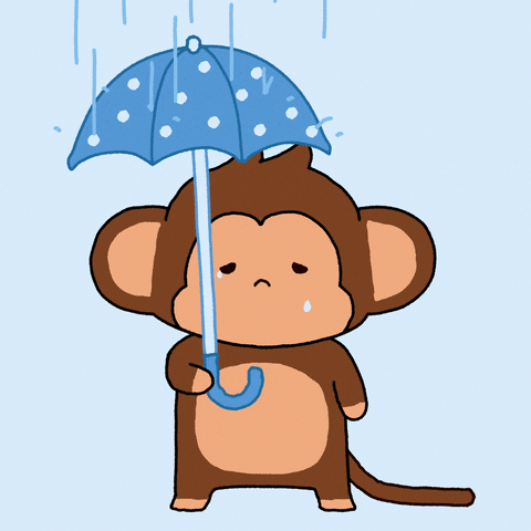 Rainy Day Smile GIF by Chimpers
