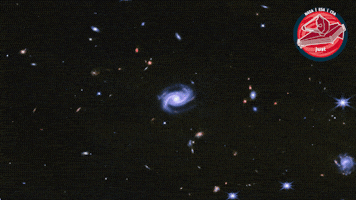 James Webb Stars GIF by ESA Webb Space Telescope