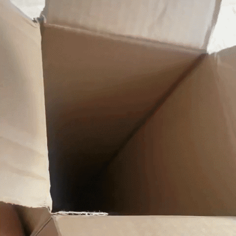 Awesome Mat GIF