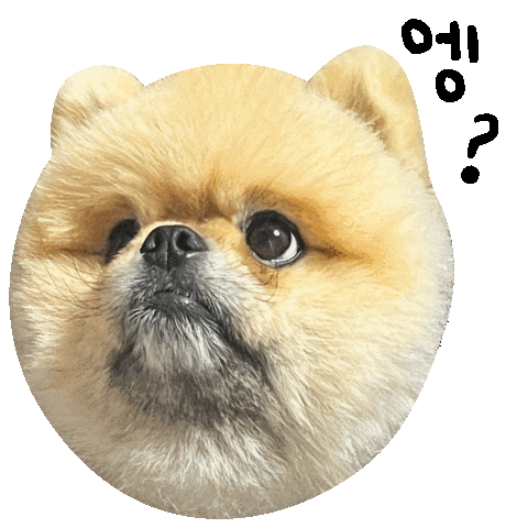 엥 Sticker