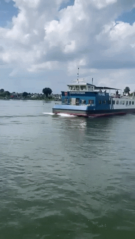 Blue Amigo GIF