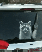Raccoon Waving GIF by WiperTags Wiper Covers
