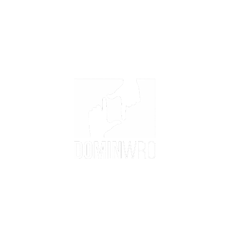 domin_wro Sticker