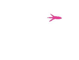 Paws Sticker