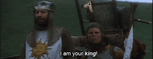 i didn't vote for you monty python GIF