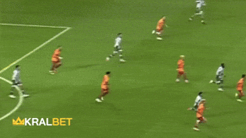 GIF by kralbet