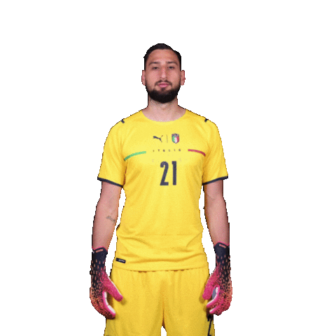 Euro 2020 Football Sticker by UEFA for iOS & Android | GIPHY